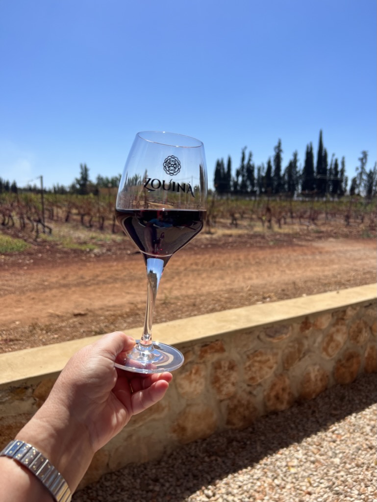 Wine tasting in Meknes valley, Morocco with Annie B