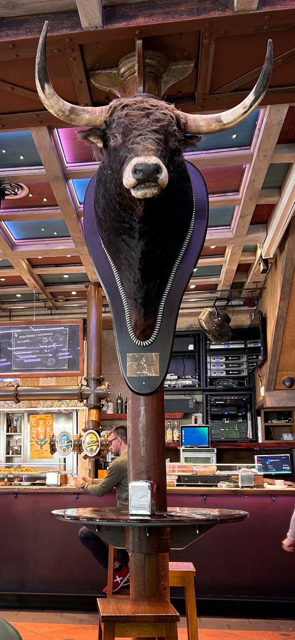 Bull's head in Pamplona with Annie B
