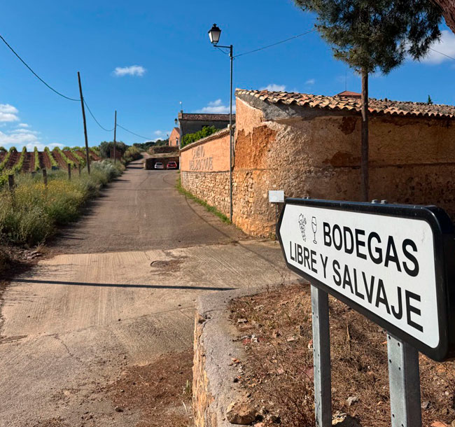 Bodegas Libre y Salvaje with Annie B